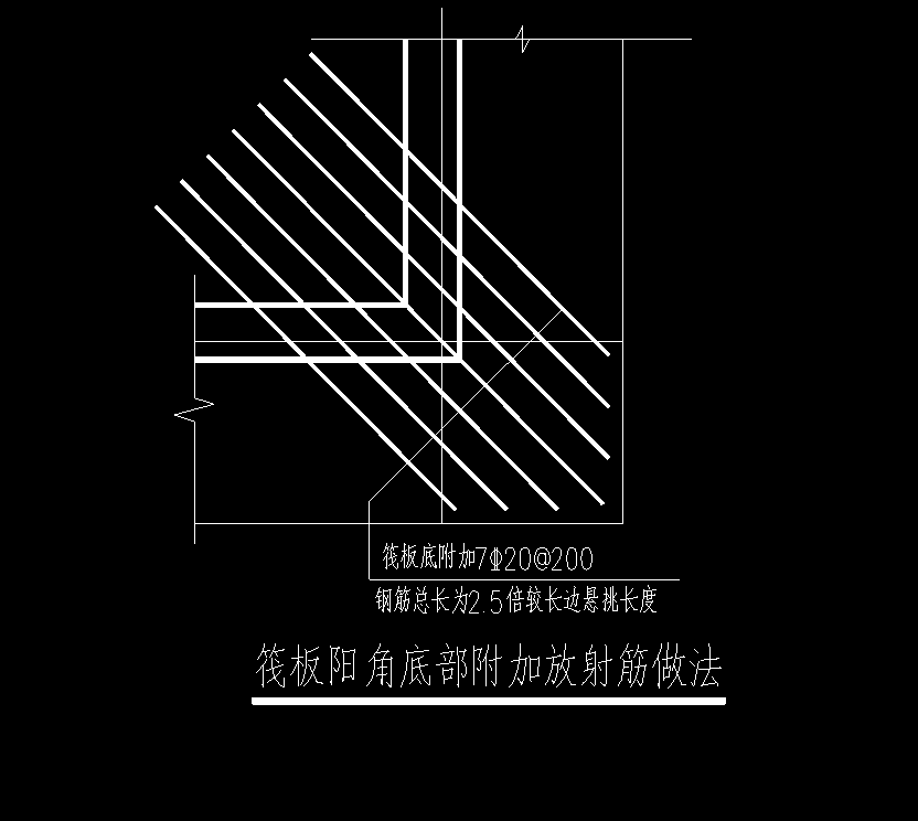 放射筋