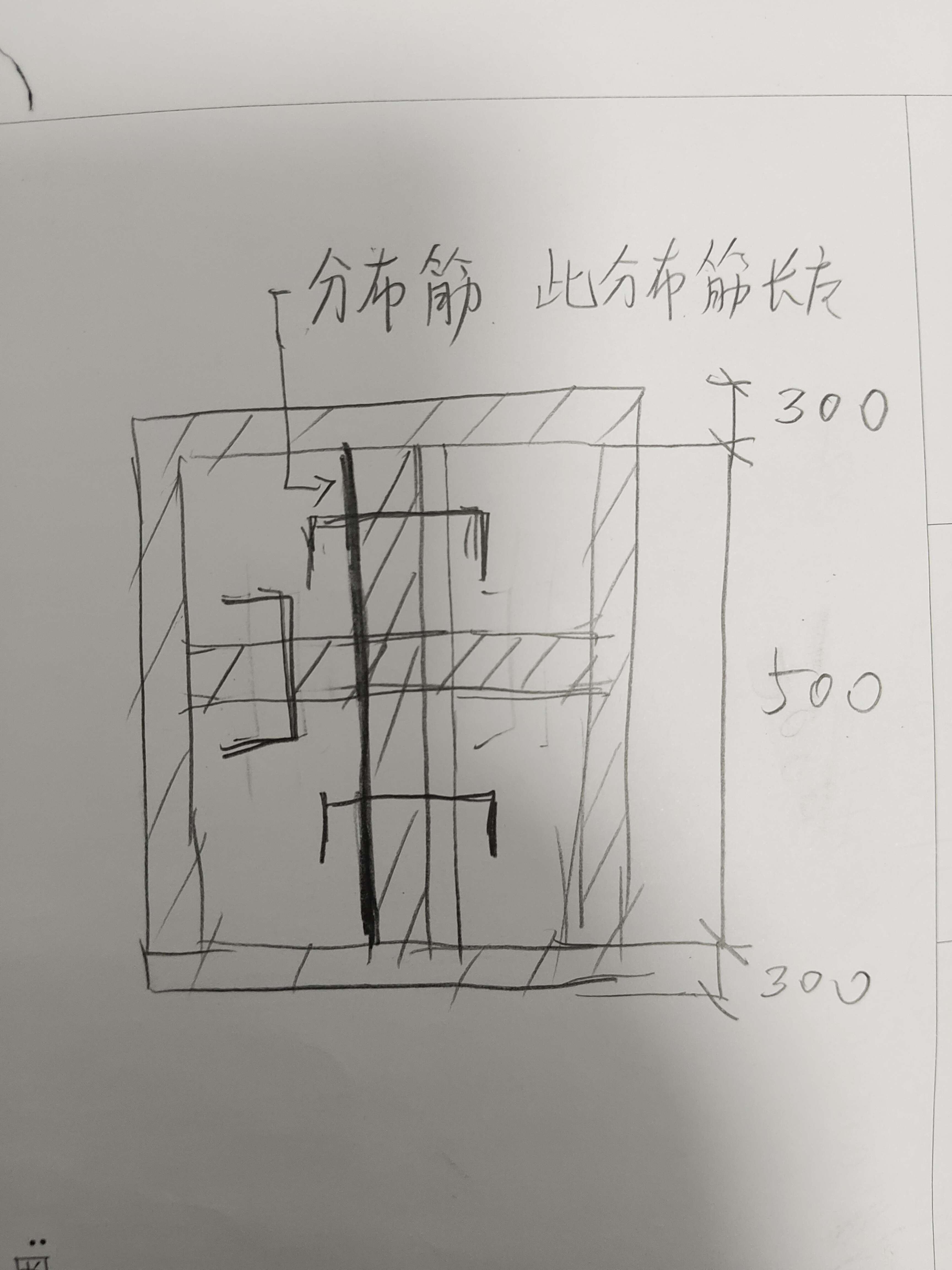 分布筋简图图片