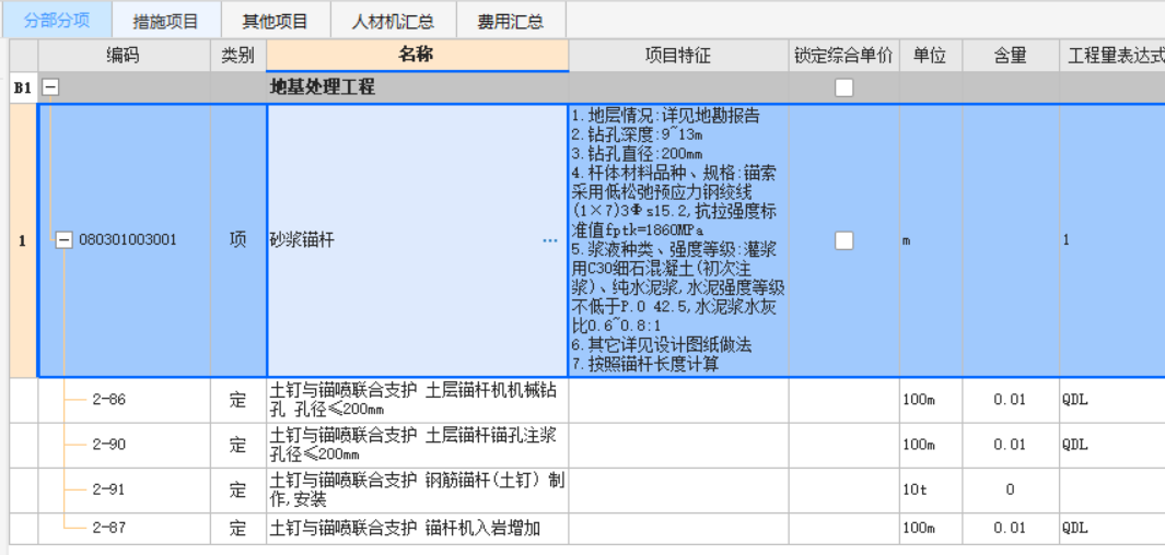 项目特征