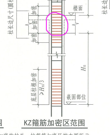 箍