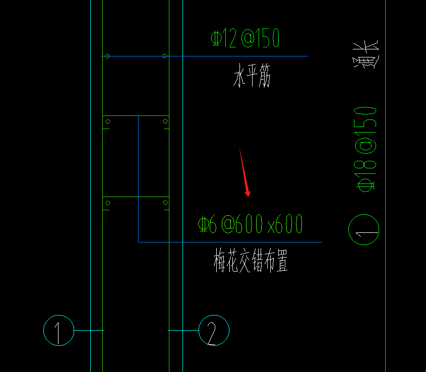 直筋