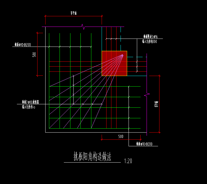 放射筋