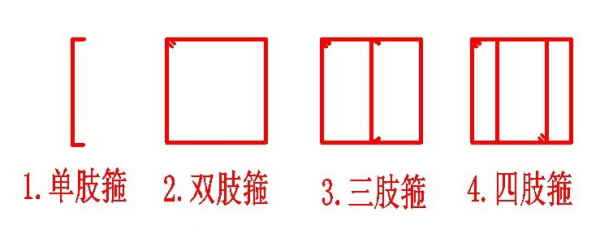 两肢箍图片