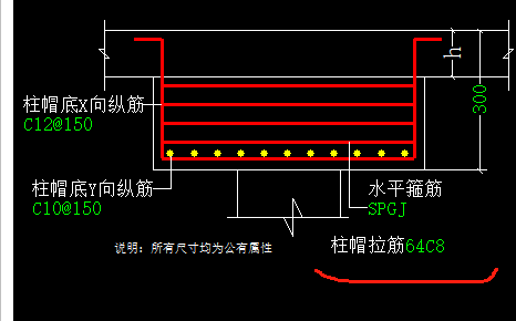 柱帽