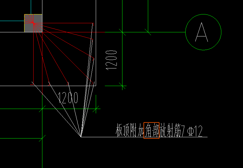 放射筋