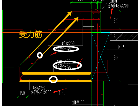 分布筋