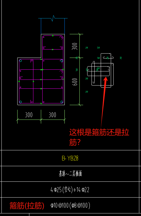 根数