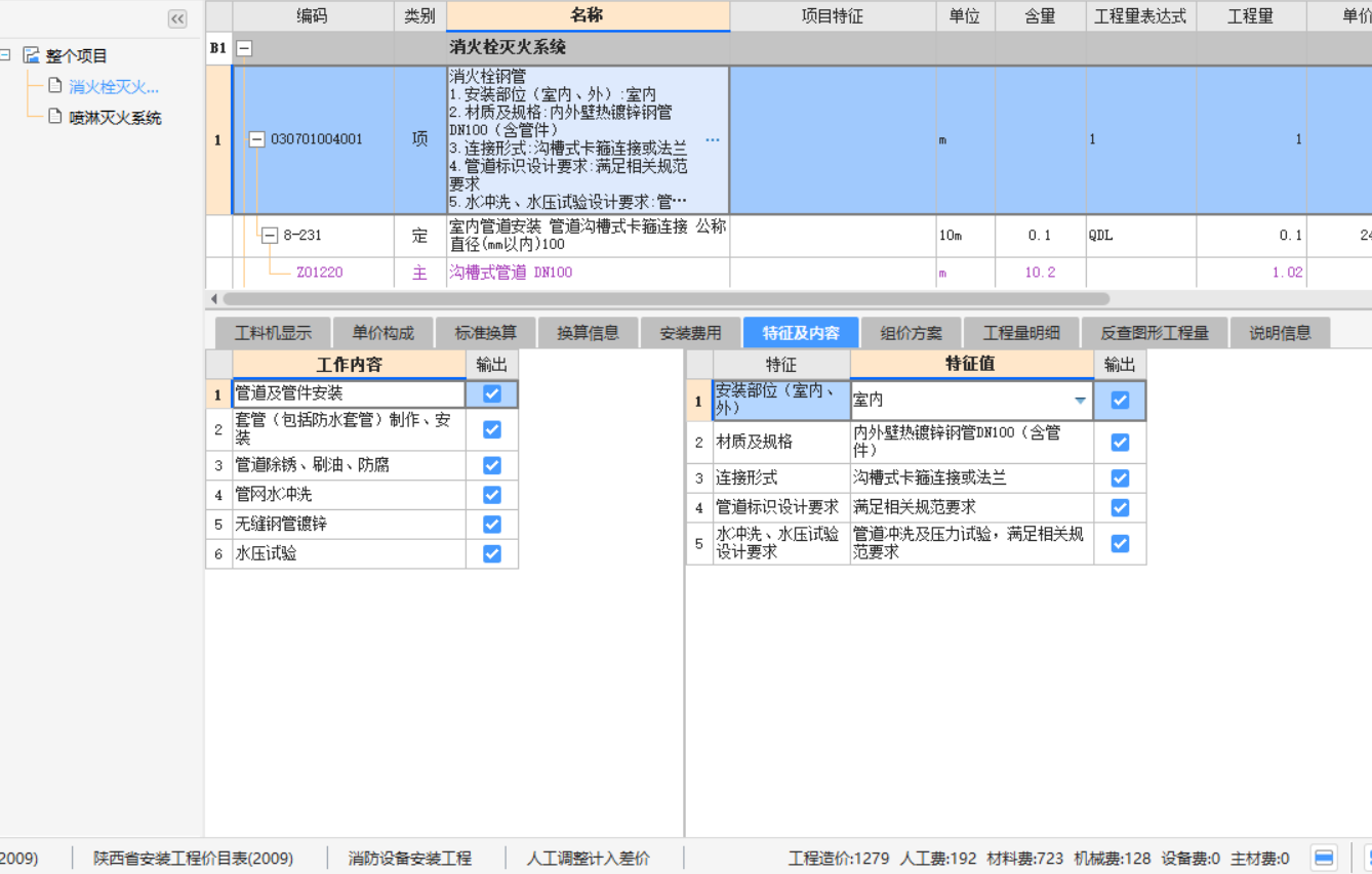 项目特征