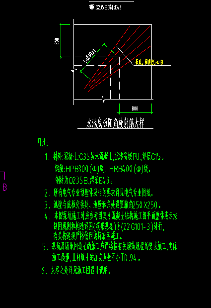 放射筋