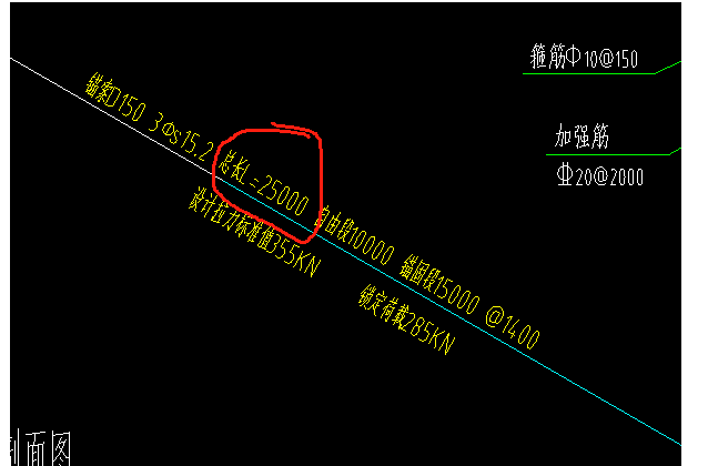 梁上
