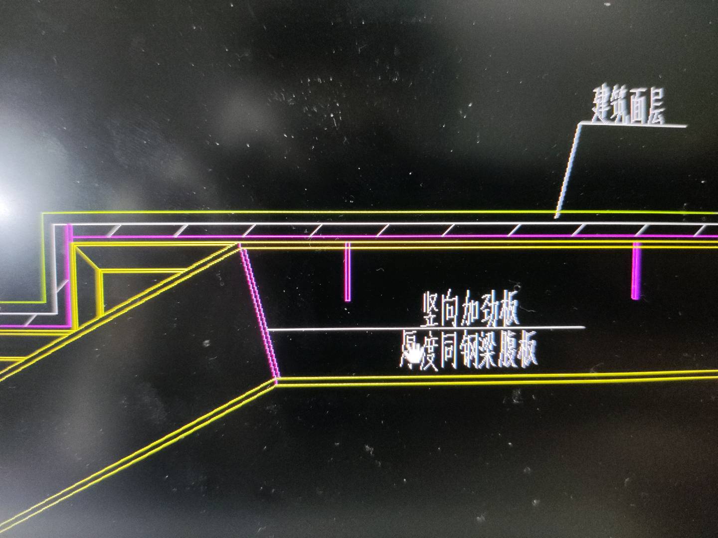 腹板