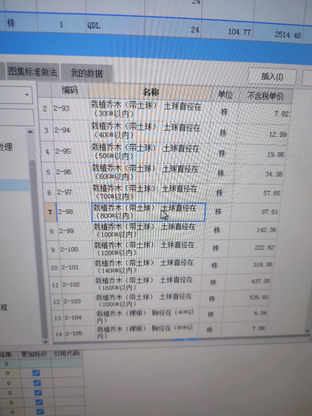 国槐