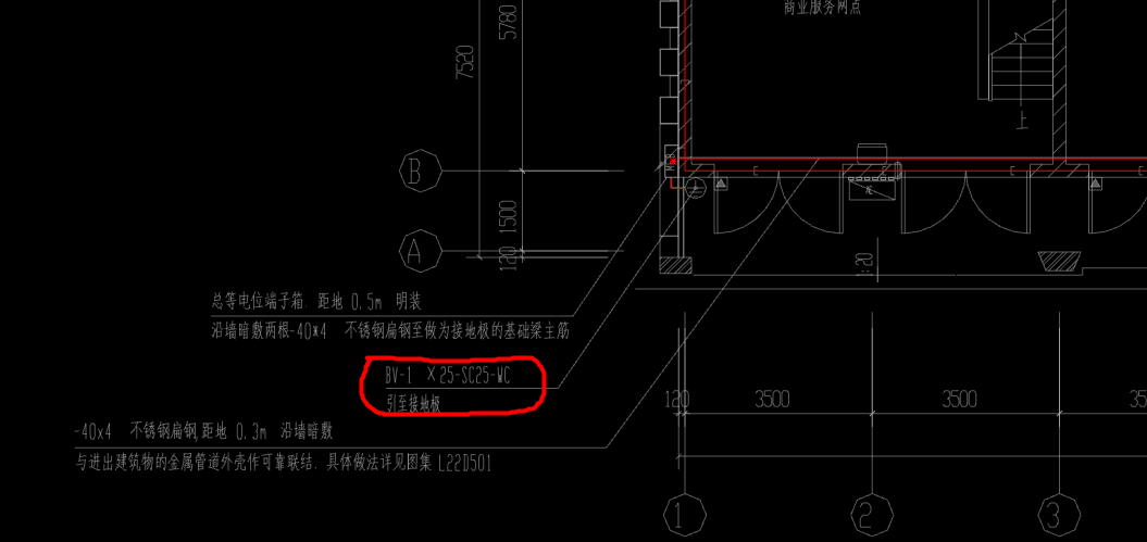 母线