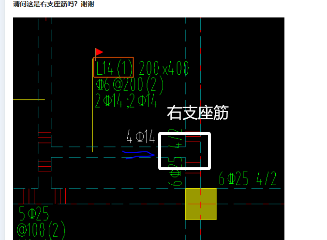 支座筋