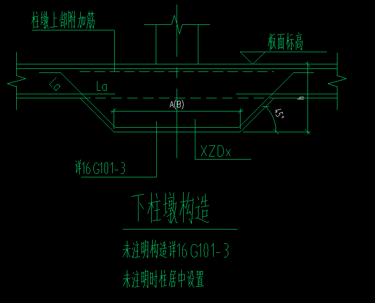 截面