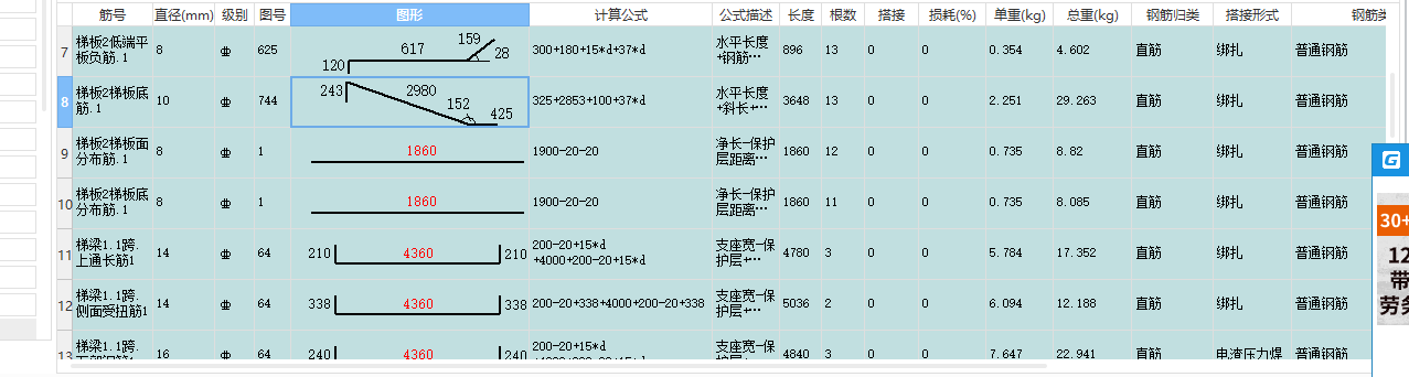 分布筋