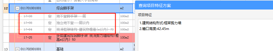 项目特征