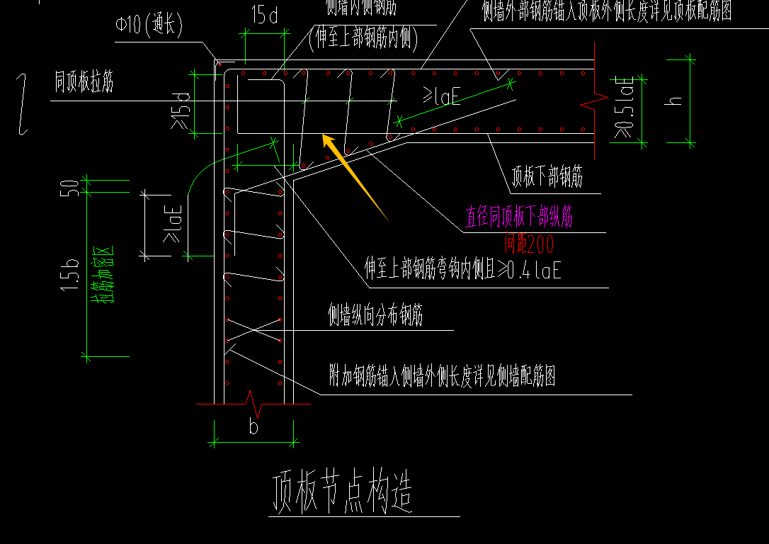 分布筋