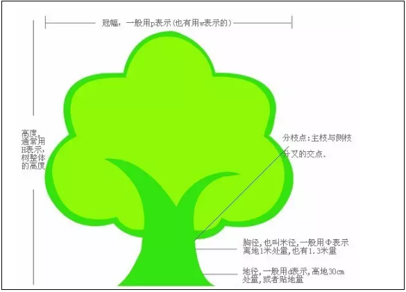 地径