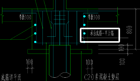 面筋