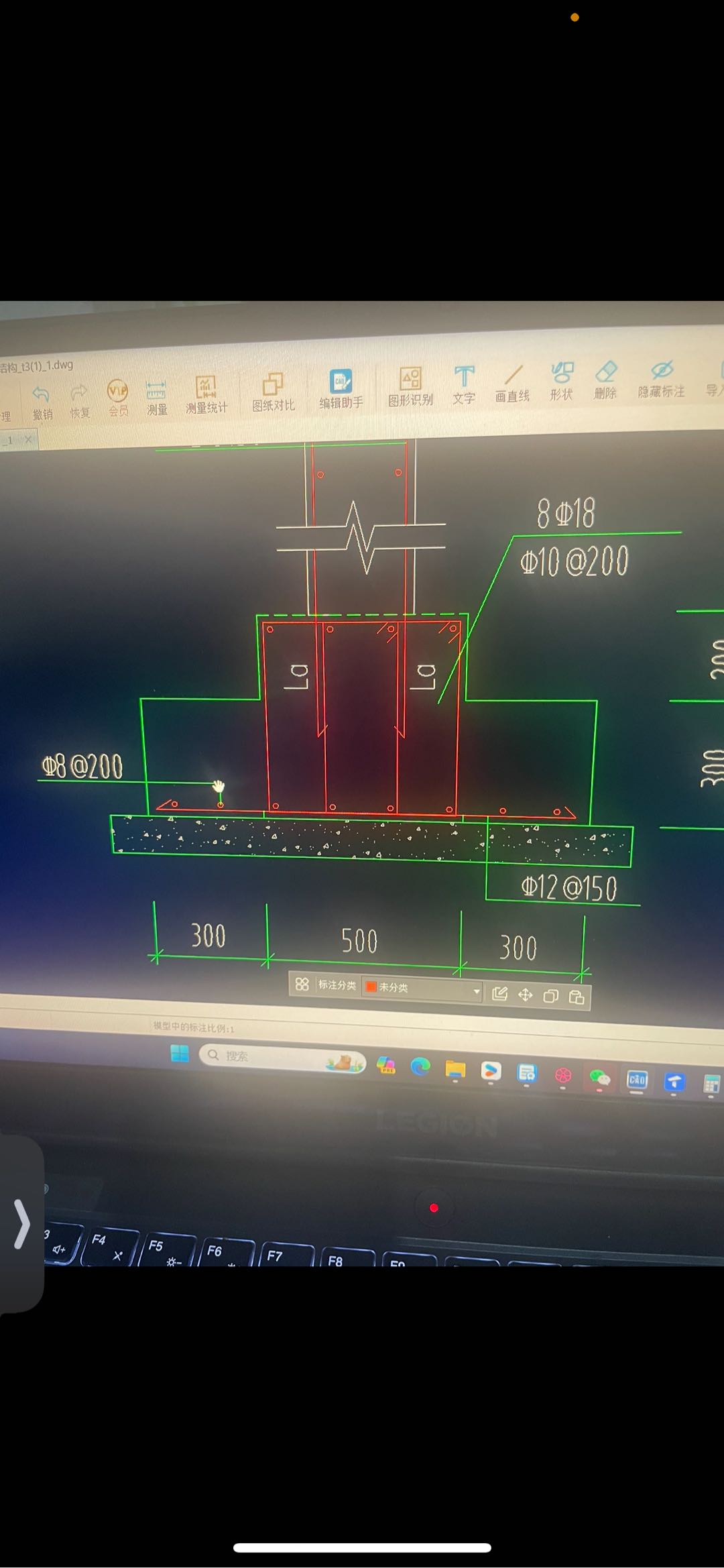 分布筋