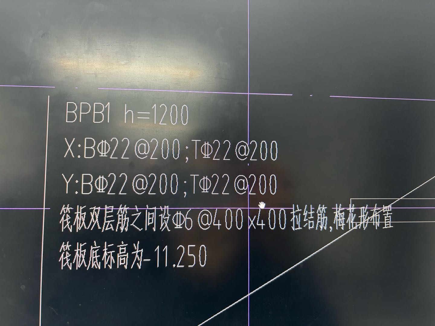马蹬筋