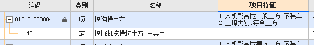 项目特征