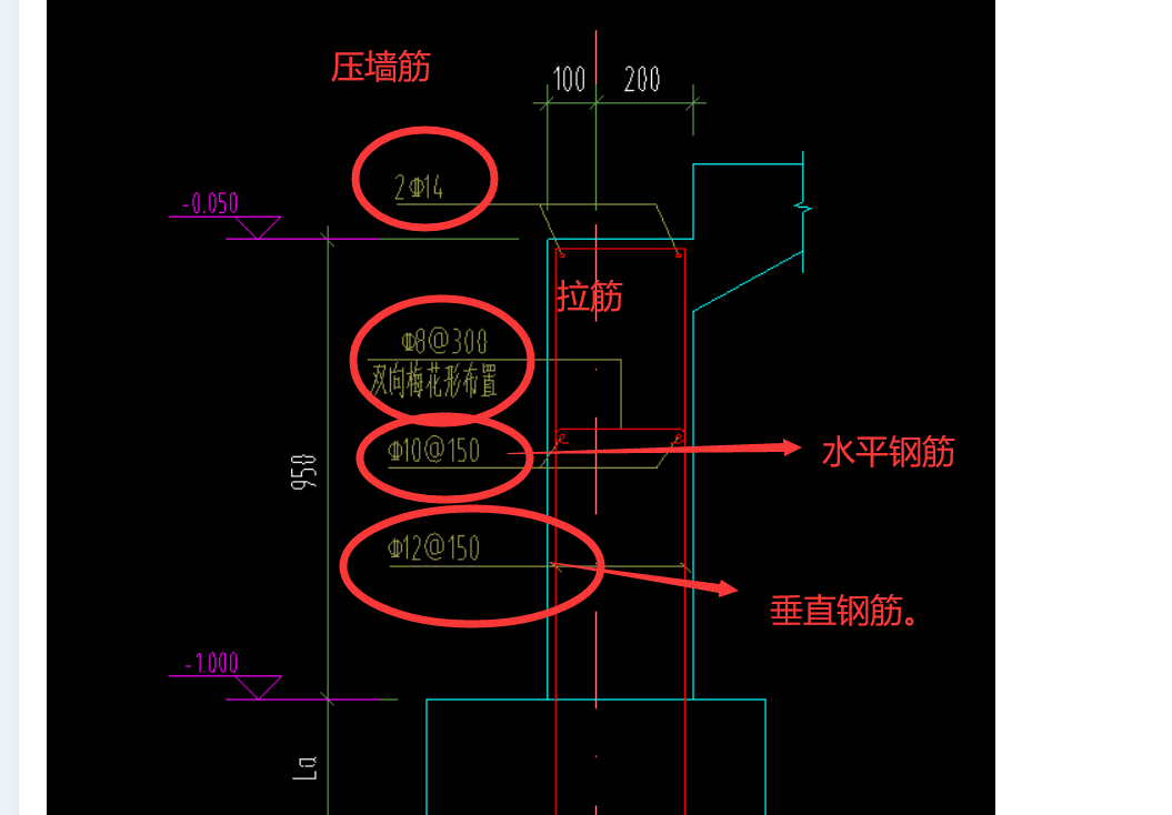 分布筋