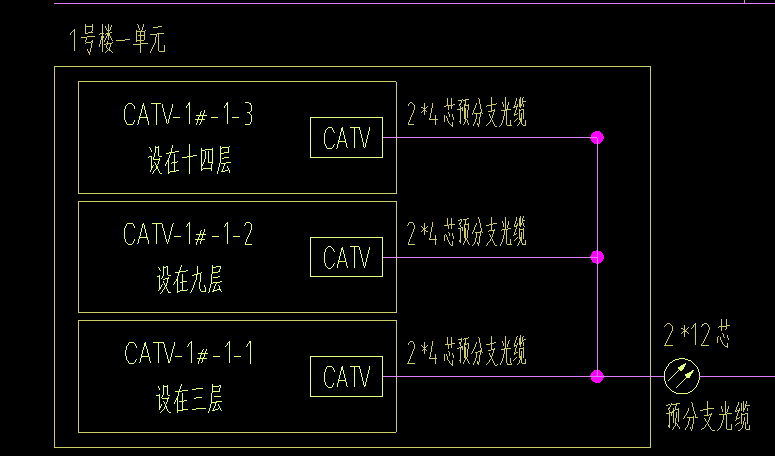 分支