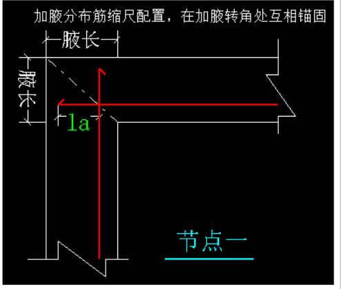 分布筋