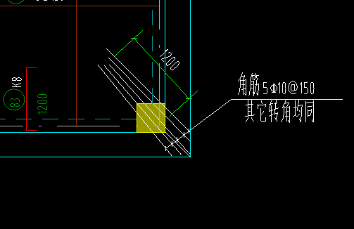 的放射筋