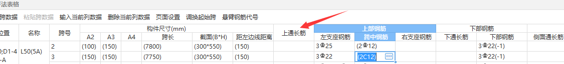 通长筋
