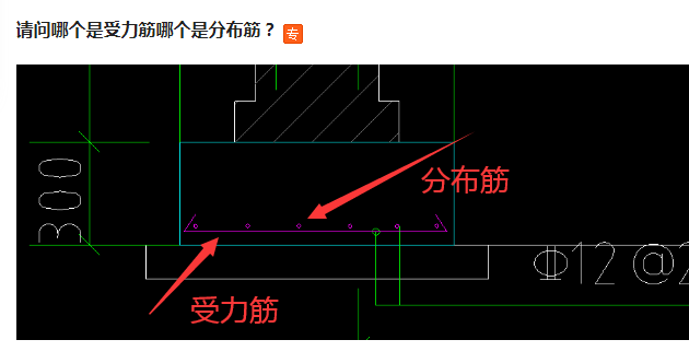 受力筋