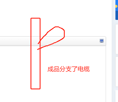 分支