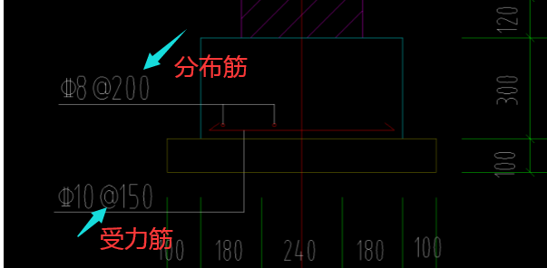 分布筋