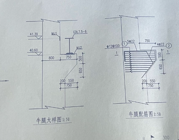 牛腿