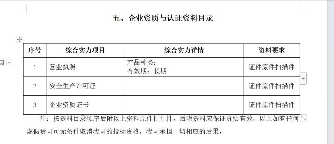 投标文件