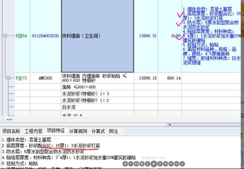 项目特征