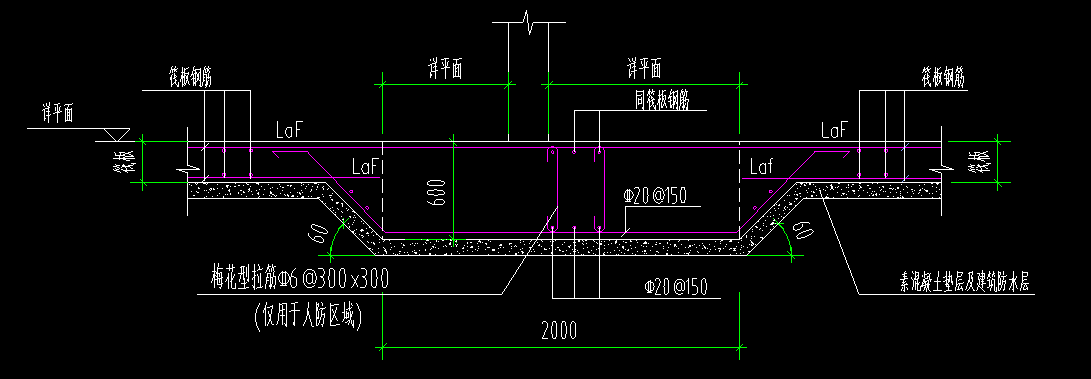 条基