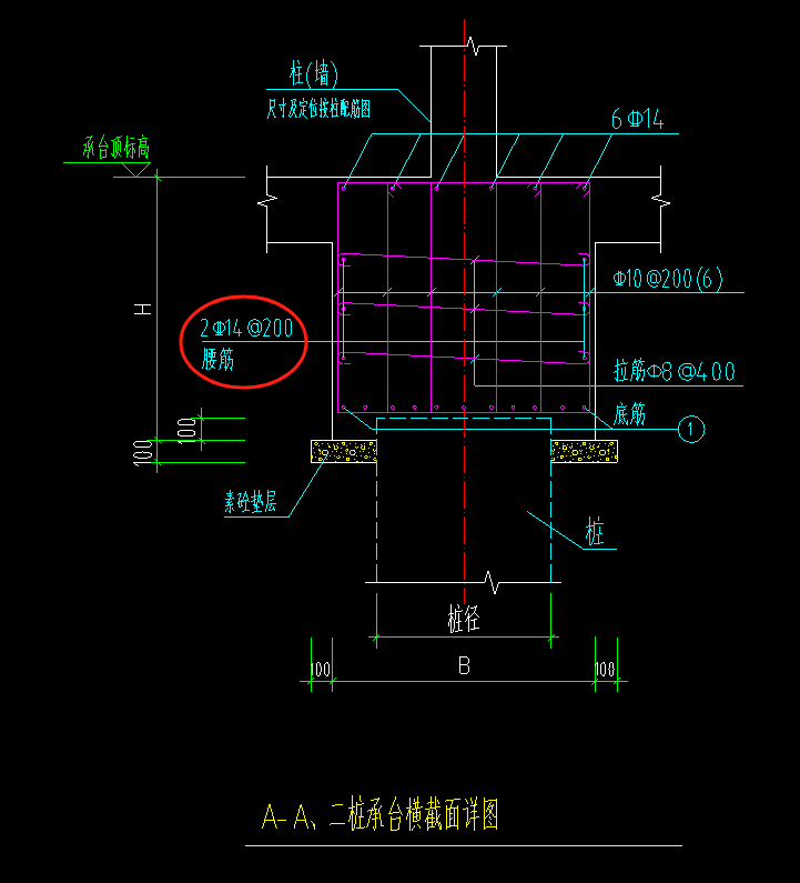 腰筋