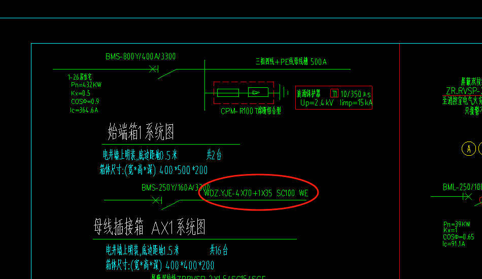 分支