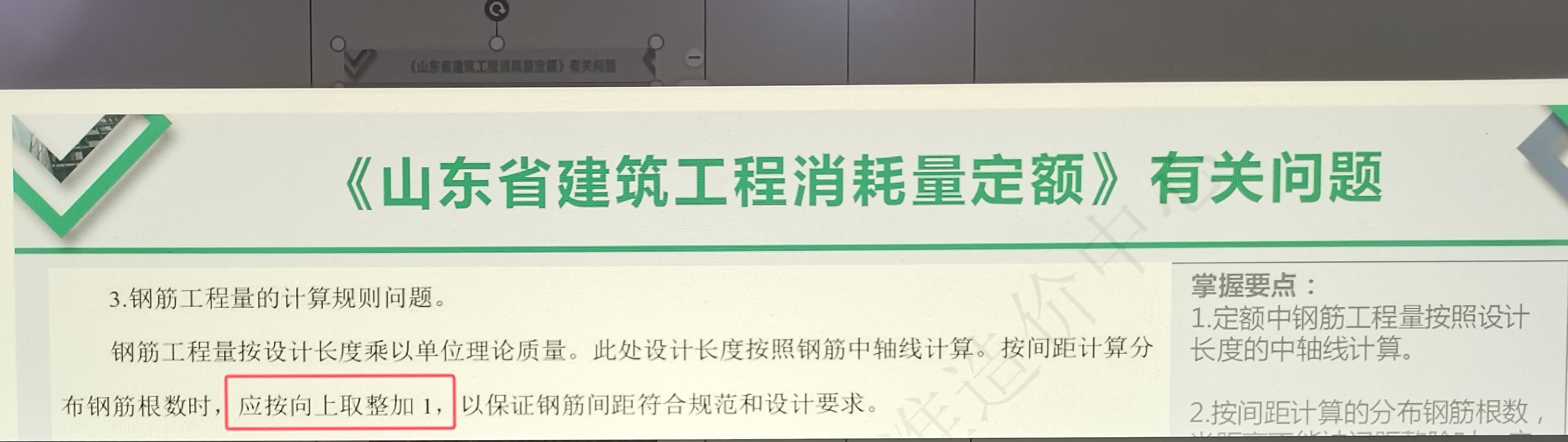 分布筋