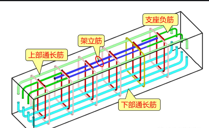 通长筋
