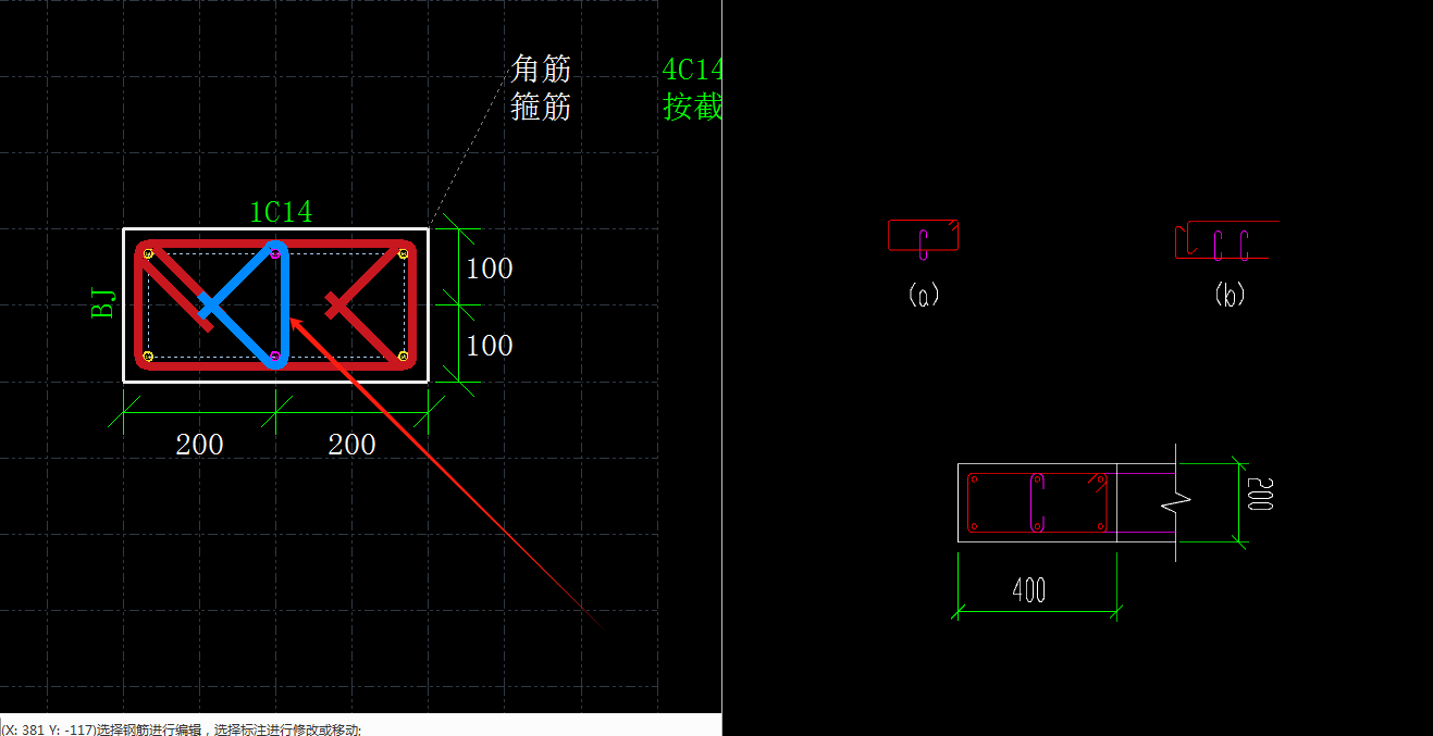 分布筋