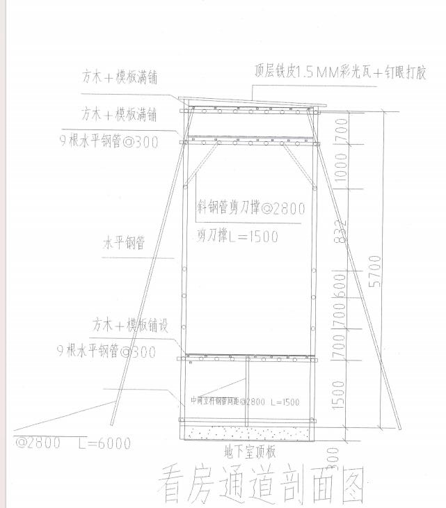 投影面