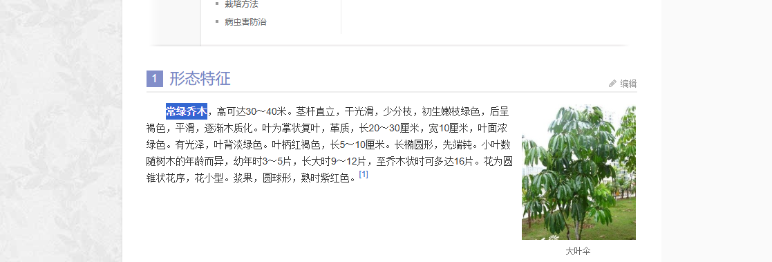 园林绿化