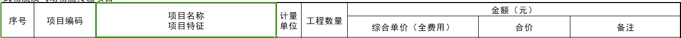 项目特征