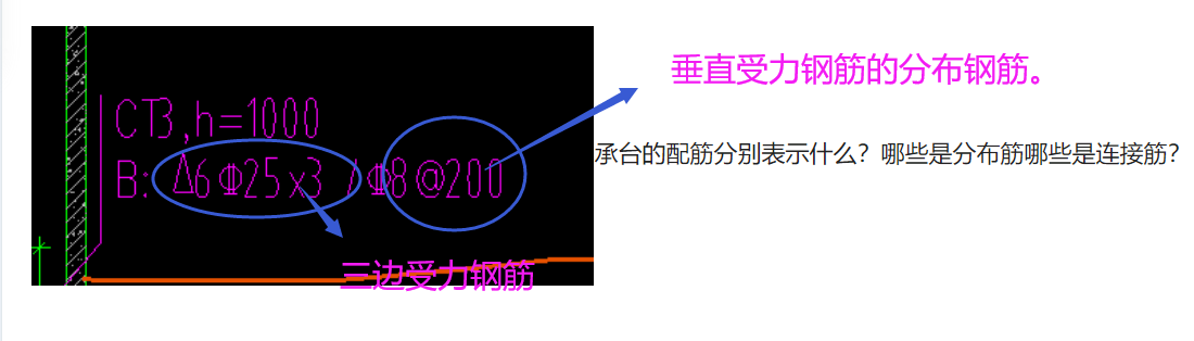 分布筋