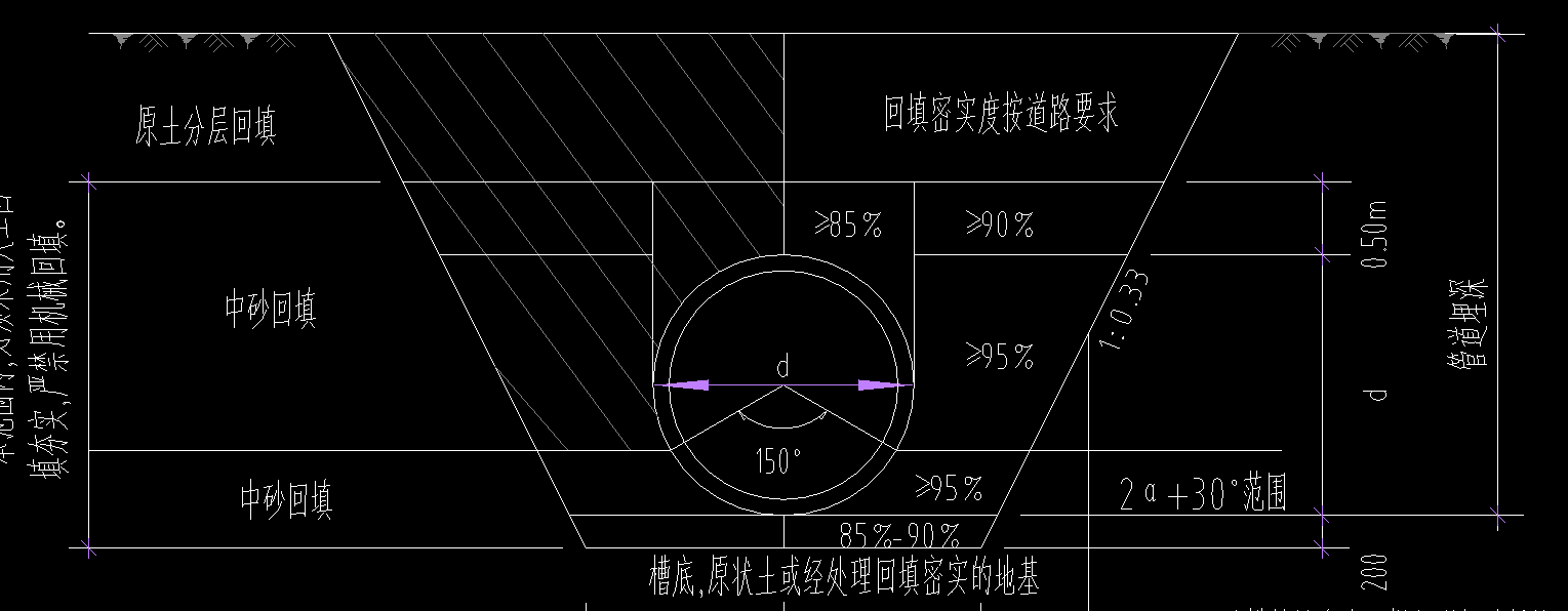 纵断面