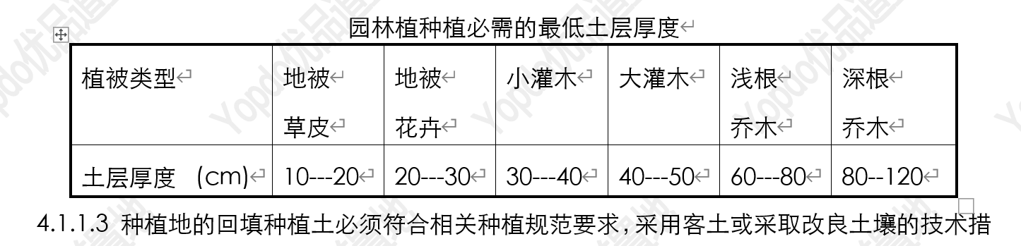 乔木